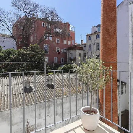 Santa Catarina Stylish By Homing